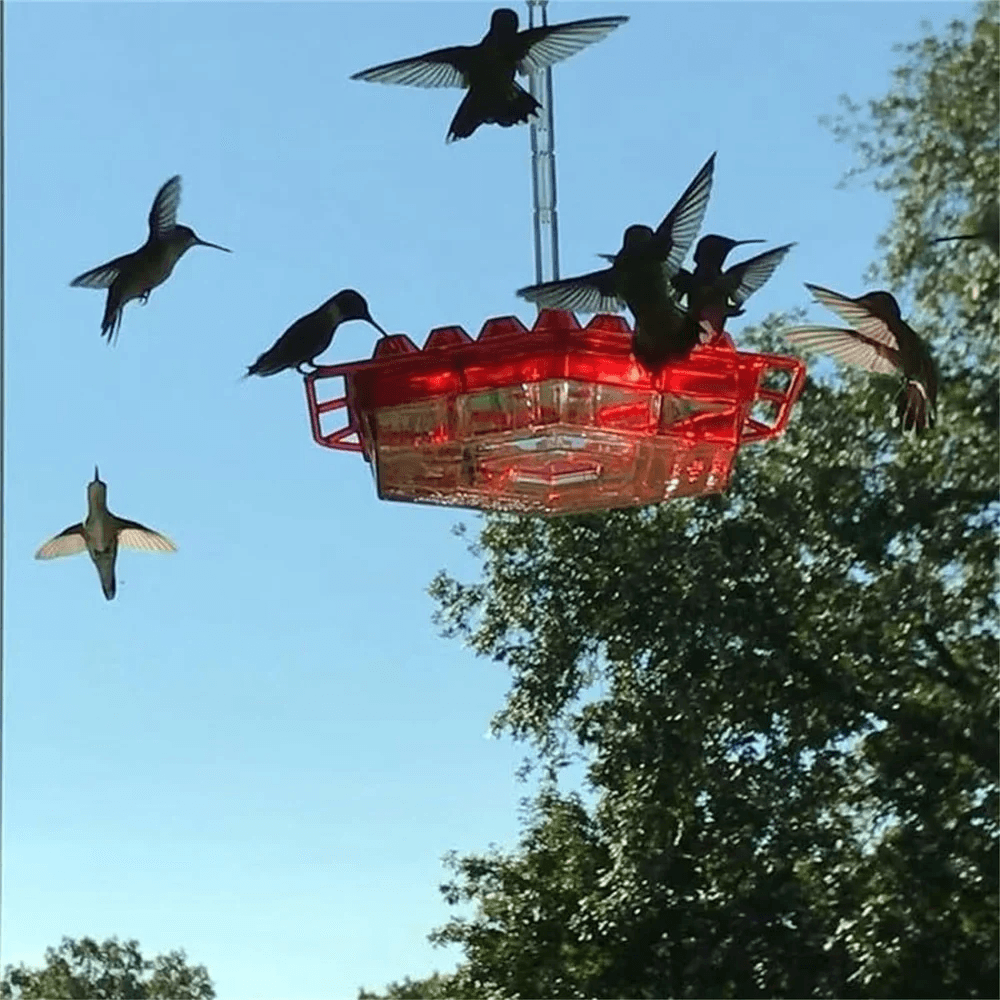 Caring for and Attracting Little Guests