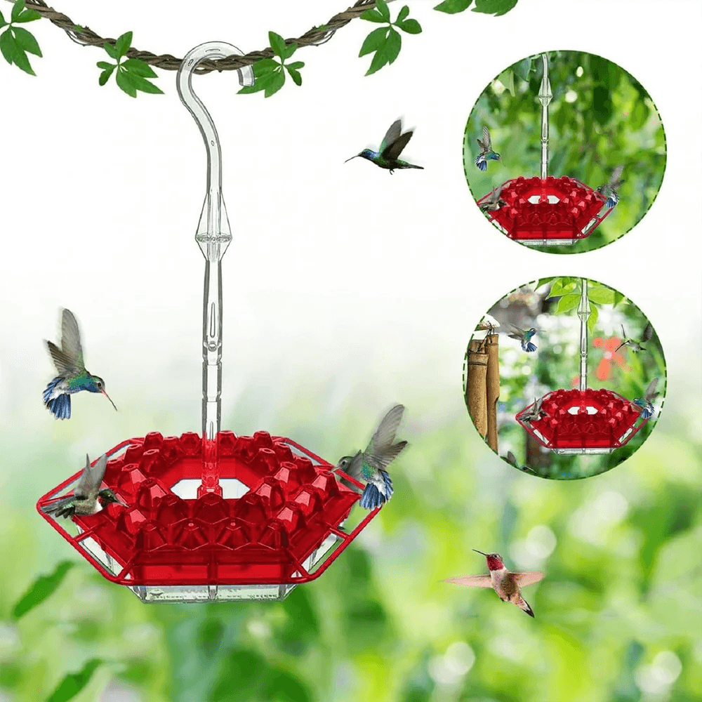 Caring for and Attracting Little Guests