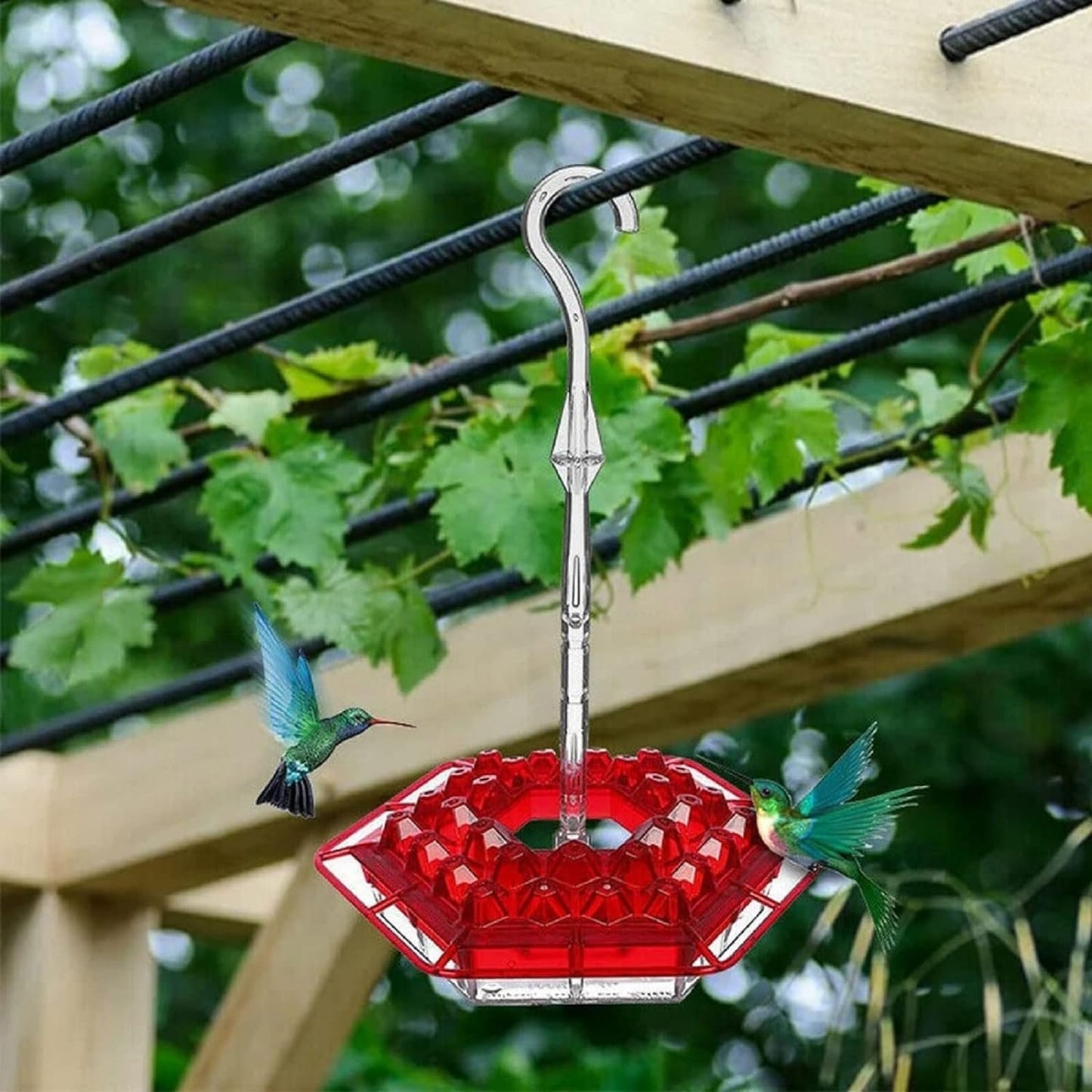 Caring for and Attracting Little Guests